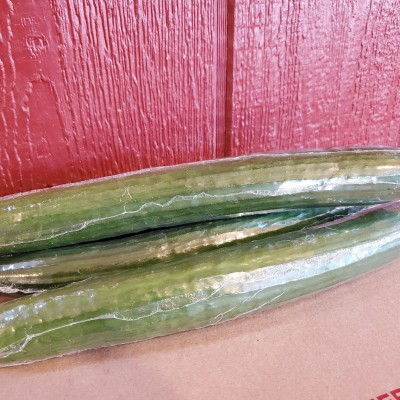 English Cucumber