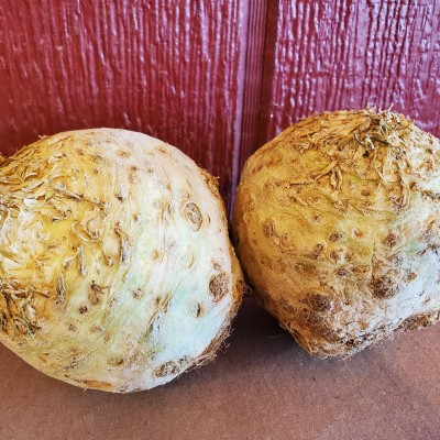 Celery Root