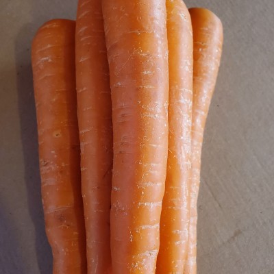 Carrots