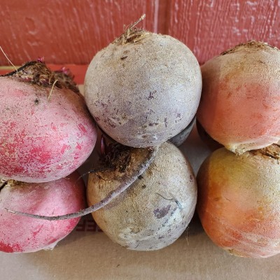 Beets