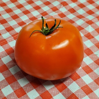 Tomatoes