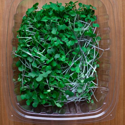 Port Dover Pick Up- Broccoli Microgreens