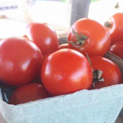 Greenhouse cocktail tomatoes